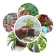 thumbnail image 4 of Bloque de plántulas semillas de plantas de jardín pellets de suelo de vivero cubo de plántulas flor de rosa herramienta de cultivo sin suelo 20 piezas Advancent JJ25809-00, 4 of 6