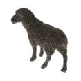 thumbnail image 3 of VONKY Realistic Plastic Animal Figure Simualtion Model Toys Black Sheep, 3 of 8