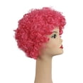 thumbnail image 3 of Men's FD Curly Clown Wig, 3 of 3
