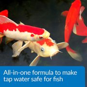 Api Aquaessential Pond, 32 Oz