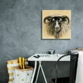 thumbnail image 4 of Epic Graffiti 'Highland Animal Ram' by Silvia Vassileva, Canvas Wall Art, 18"x18", 4 of 8