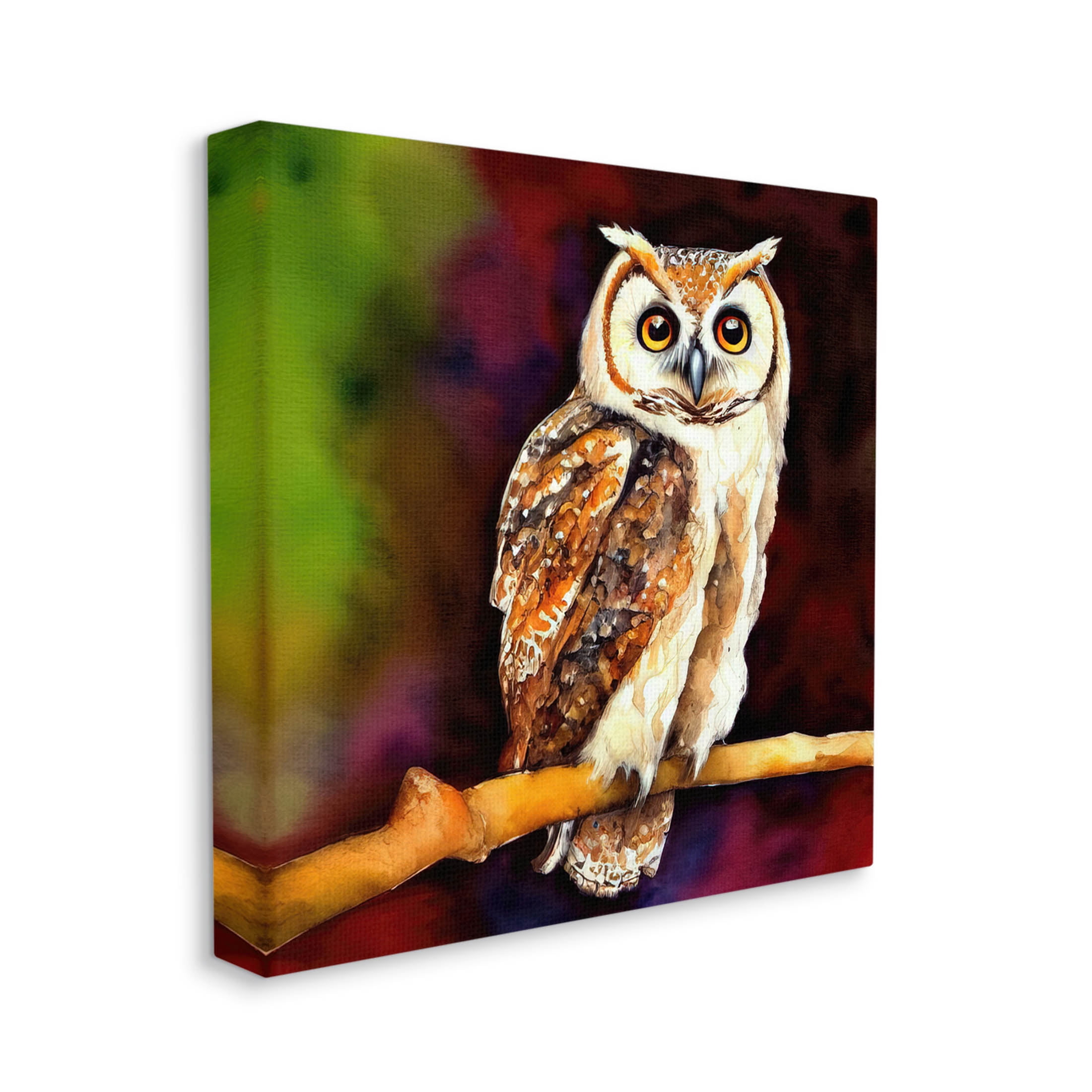 Intense Owl Gazing Perched Animals & Insects Painting Gallery Wrapped Canvas Print Wall Art