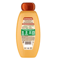 thumbnail image 3 of Garnier Whole Blends Honey Treasures Repairing Shampoo, Dry, Damaged Hair, 22 fl oz (2 Pack), 3 of 6