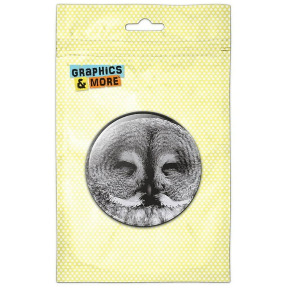 Sleeping Owl Refrigerator Button Magnet