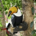 thumbnail image 3 of Estatuil de pájaro de resina Tucan árbol Hugger estatua de jardín, escultura de piezaza de Animal ornamentos de árbol CUTICAT Figura de pájaro en miniatura, 3 of 8