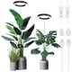 thumbnail image 1 of Luz de cultivo de plantas, luz de crecimiento LED yadoker de espectro completo para plantas de interior, altura ajustable, temporizador automático, voltaje seguro bajo de 5 V, idea para luz de plantas, 1 of 4