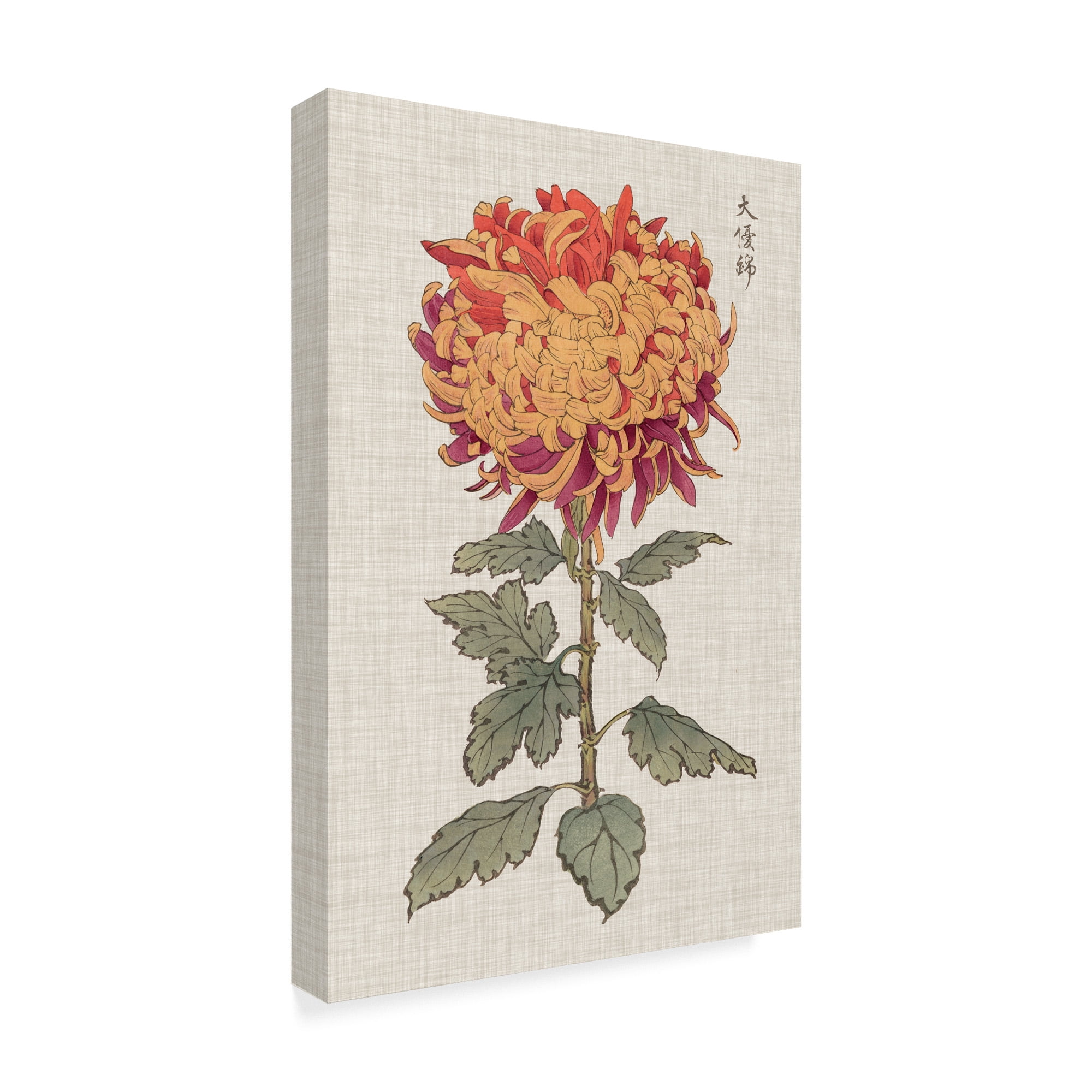 Trademark Fine Art 'UA CH Vibrant Mums III' Canvas Art by Vision Studio