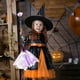 thumbnail image 4 of Juguete de Bruja de Halloween Rudolph Broomstick Academy, 4 of 6