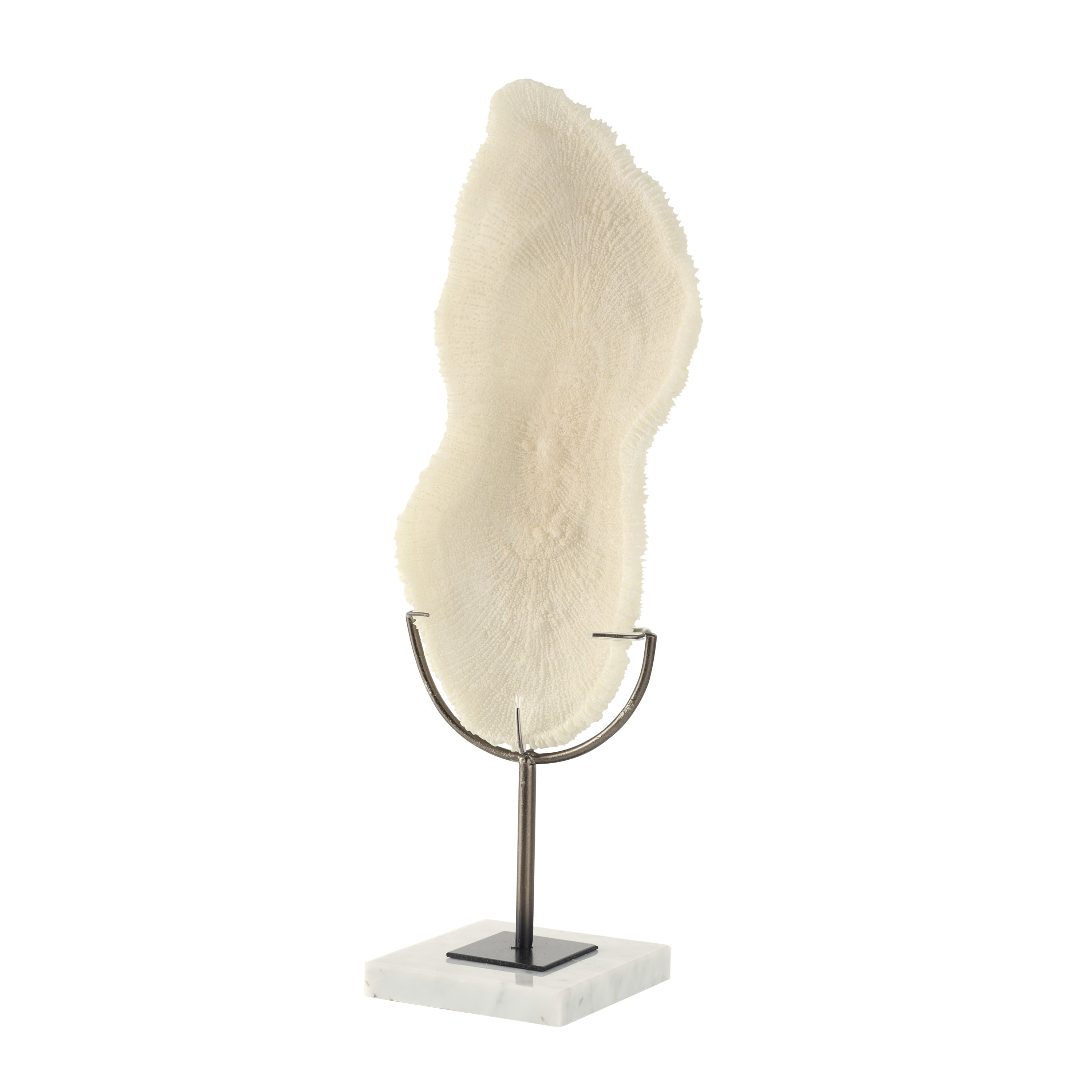 7" x 19" Cream Polystone Abstract Textured Coral Sculpture with Gray Stand and Acrylic Base, by DecMode