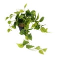 thumbnail image 5 of Clispeed Realistic Artificial Pothos Plant in Decorative Pot, Faux Hanging Greenery for Indoor Home, Office, and Living Room Decor, 5 of 7