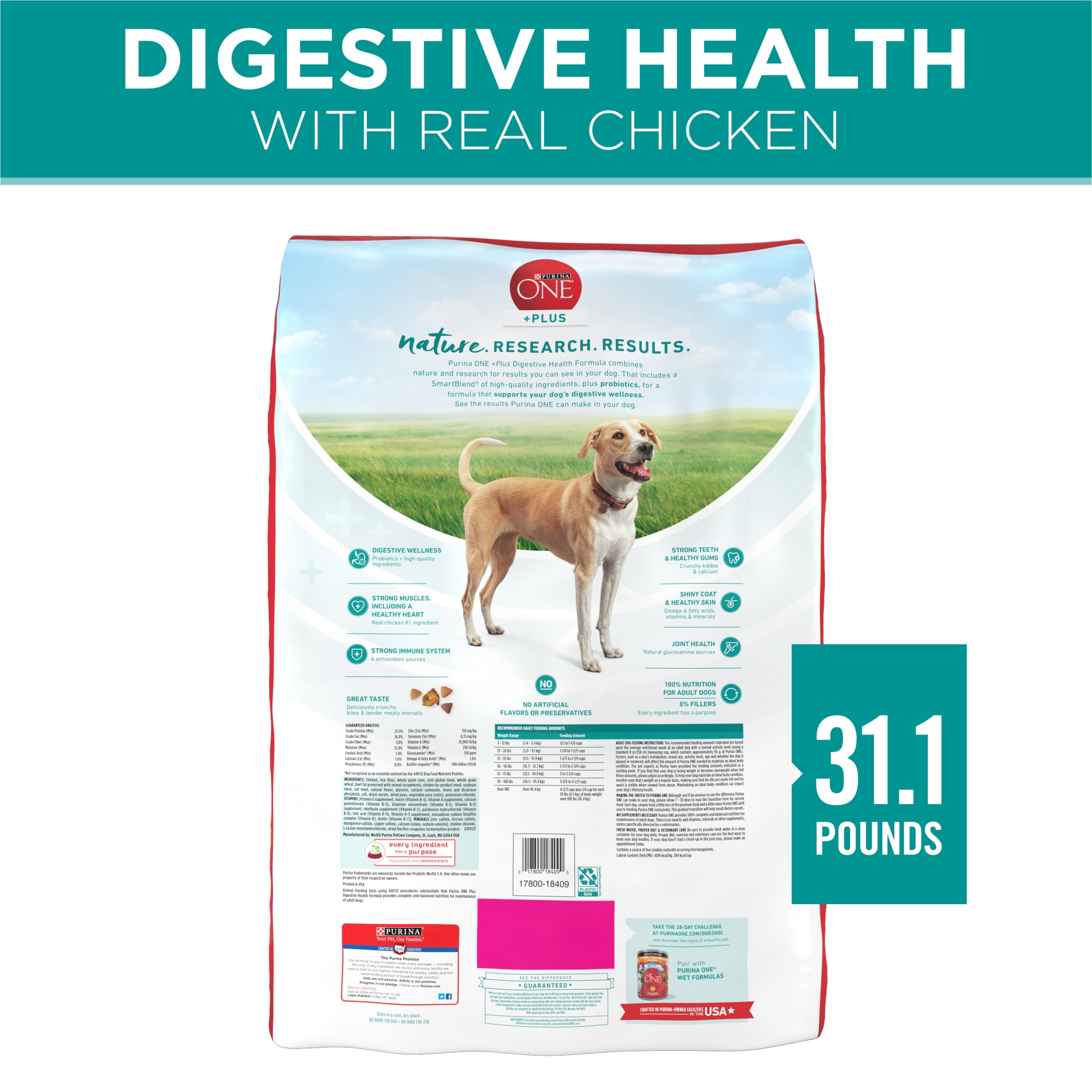 Purina ONE Natural +Plus Skin & Coat Formula Sensitive Stomach Dry Dog  Food, 31.1 lbs.