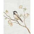 thumbnail image 3 of Nai, Danhui 15x18 Black Modern Framed Museum Art Print Titled - Black Capped Chickadee Vintage v2, 3 of 5