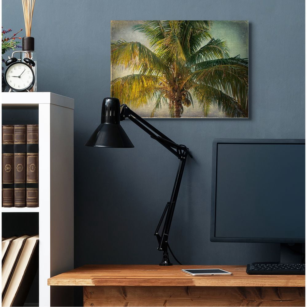 Stupell Industries Distressed Tropical Summer Palm Tree Frond Photograph Designed by Ashley Calhoun