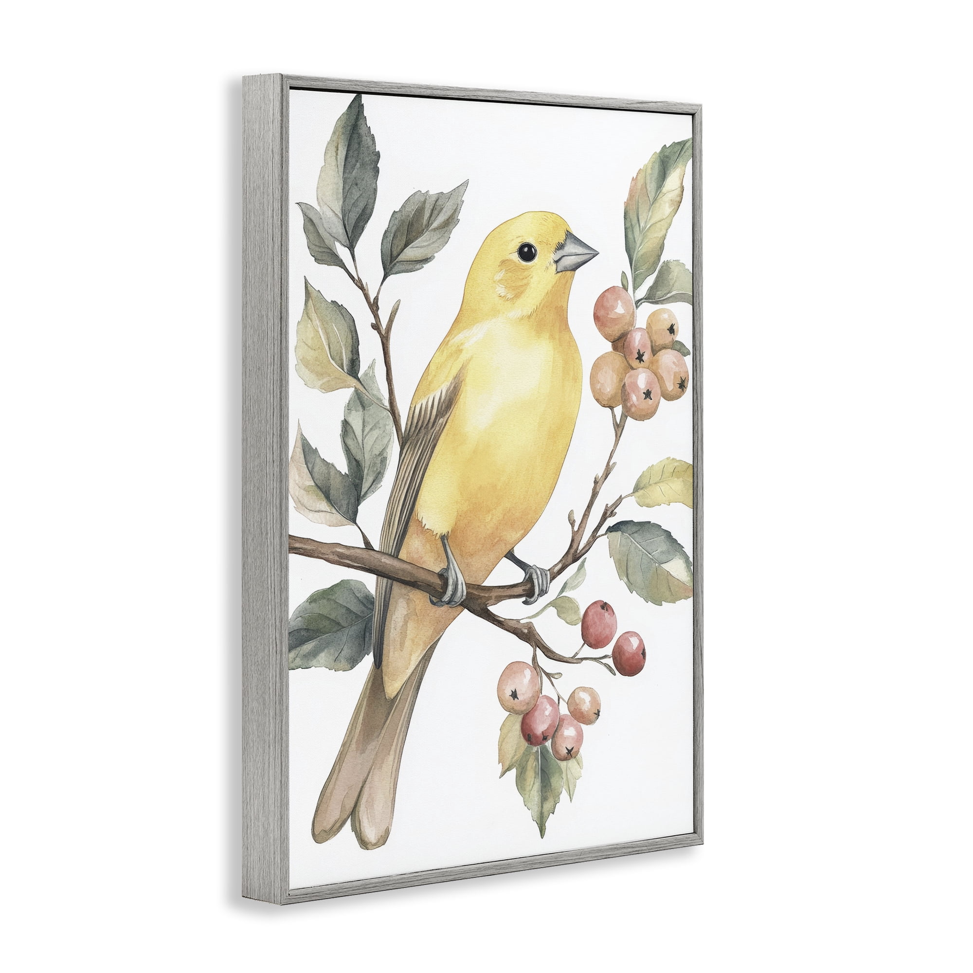 Stupell Industries Sun Lit Bird on Branch Gray Framed Giclee Art, design by Petal Prints Design