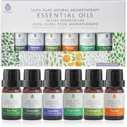 6 Pack of 100% Pure Essential Aromatherapy Oils