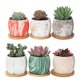 thumbnail image 2 of Bonsai Planter Pot Desktop Flower Pot Bonsai Plant Pot Small Succulent Pots Round Planter Pot, 2 of 3