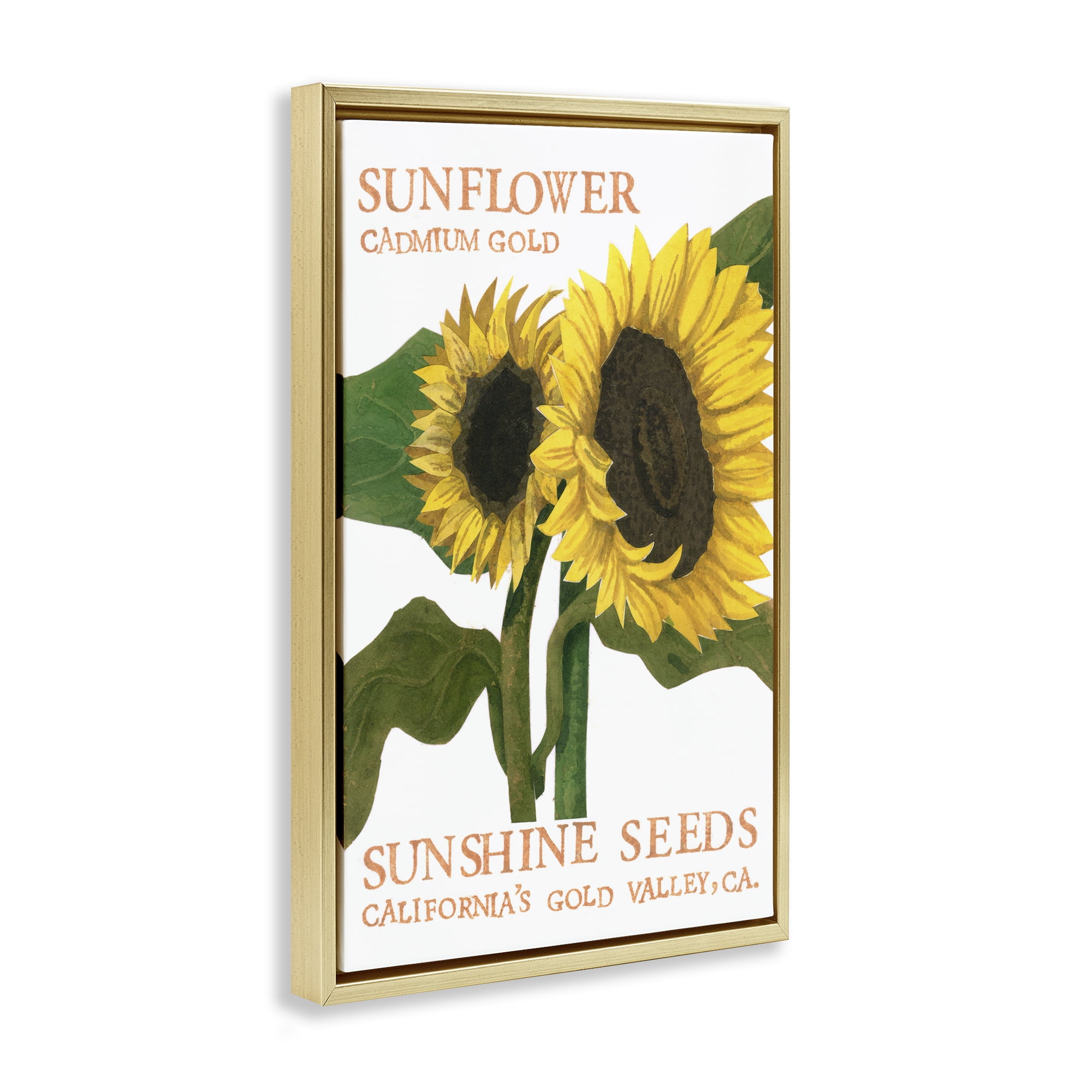 Stupell Industries Sunflower Seeds Design Typography Painting Gold Floater Framed Art Print Wall Art, 17 x 25
