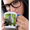 thumbnail image 2 of 3drose, Hen and Chicks, Farm, Lenawee County, Michigan - Us23 Dfr0117 - David R. Frazier, 11oz Two-tone Blue Mug, 2 of 6
