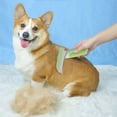 thumbnail image 1 of Pet Grooming Brush Deshedding Tool Detangling Slicker for Dogs and Cats with Ergonomic ABS Handle, 1 of 6