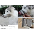 thumbnail image 4 of Bozal de malla de nailon ajustable para perros: evita morder, masticar y lamer; para perros pequeños, medianos y grandes, color rosa S, 4 of 5