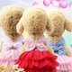 thumbnail image 4 of Vestidos de princesa para perros, vestidos con lazo para cachorros, vestidos de tutú para mascotas, vestidos de verano de princesa para cachorros y gatos pequeños y medianos, 4 of 5