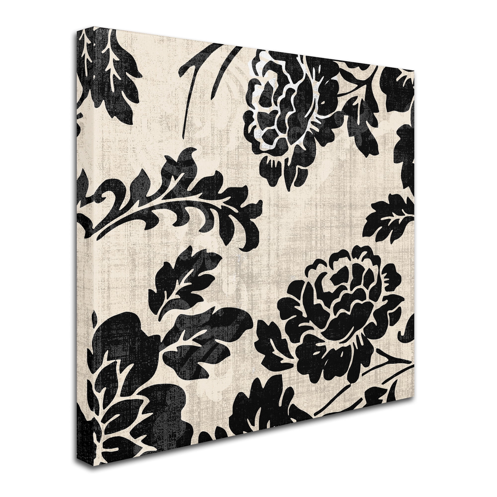 Trademark Fine Art "Stylesque III" Canvas Art by Color Bakery