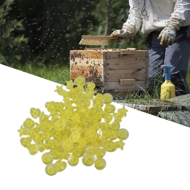 Copa de Celda de Abeja Reina, Plástico de la Copa de Cría de Abejas Reina Inodoro Anti -Nvenvejecimento 100pcs para el APIARIO