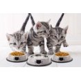 thumbnail image 2 of Stainless Steel Cat Bowls, Food And Water Cat Dishes Non Slip Stackable Pet Bowl For Cat, Kitten,3 Pack - Grey, 2 of 5