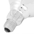 thumbnail image 3 of Adjustable Temperature Breeding Heating Lamp, Infrared Insulating Bulb for Breeding, 220V-240V, 3 of 4