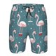 thumbnail image 3 of Fotbe Flamingo Trajes de Baño Estampados para Hombre, Shorts de Verano de Secado Rápido, Ropa de Playa, Bañadores-Medium, 3 of 6