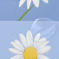 thumbnail image 4 of Yayeee Shower Curtain with Hooks 72"x72" Waterproof Fabric Bathroom Hanging Decor, Light Blue Daisy, 4 of 5