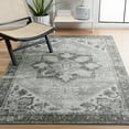 thumbnail image 4 of SAFAVIEH Tucson Jayla Oriental Machine Washable Area Rug, Dark Sage/Ivory, 4' x 6', 4 of 15