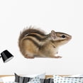 thumbnail image 1 of Siberian Chipmunk Euamias Sibiricus Wall Decal by Wallmonkeys Peel and Stick Graphic (36 in W x 23 in H) WM357272, 1 of 4