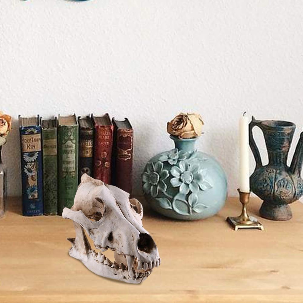 Soug Resin Snow-Wolf Animal Head Skull Replica Halloween White‖ Ornament  Statue New - Walmart.com, image size:1001x1001