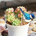 thumbnail image 3 of Clear Acrylic Planter for Succulents - Modern Desktop Decor with Durable, Eco-Friendly Design, 3 of 4