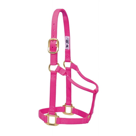 Weaver Leather Original Non-Adjustable Nylon Horse Halter, Small, Diva Pink