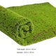 thumbnail image 5 of GOOHOCHY Césped de musgo realista, micropaisaje de musgo, minijardín falso, accesorio para fotos, 5 of 8
