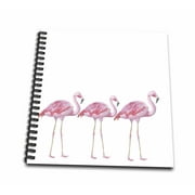 3dRose flamingo flamingos bird birds animal animals wild nature illustration - Mini Notepad, 4 by 4-inch