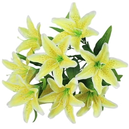 JJKBVCLO Lily Bouquet 10 Head Lily Bouquet With Stem Flowers Lily