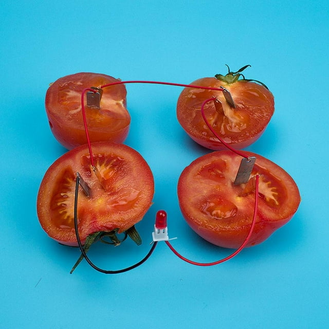 Ymiko Homemade Fruit Battery,DIY Fruit Battery,Children DIY Homemade Fruit Battery Power Educational Electricity-generating Experiment