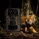 thumbnail image 1 of Cámara de seguimiento para exteriores, 20MP 1080P HD Cámara de detección de vida silvestre para juegos Trampas de fotos de vida silvestre Cámaras IP66 Cámara de vigilancia salvaje impermeable con visión nocturna Sin marca Cámaras de videovigilancia interiores y exteriores, 1 of 1