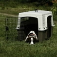 thumbnail image 3 of Miller Manufacturing Company Portable Plastic Hard Sided Pet Travel Crate Carrier Kennel w/ Double Doors For Dogs, Rabbits, & Animals, Beige & Taupe, 3 of 6