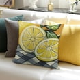 thumbnail image 3 of BANET Decorative Throw Pillow Cover , Black White Check Stripes Porch Outdoor Home Decor, Wreath Couch Cushion Case White, 3 of 5