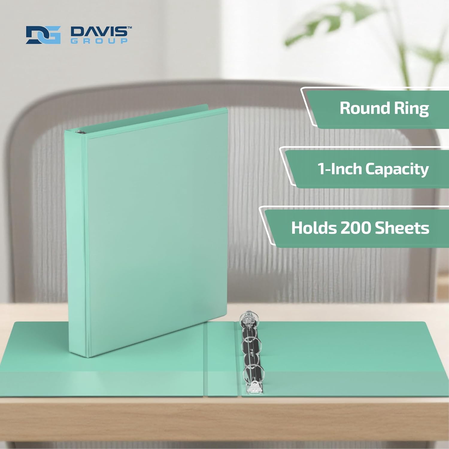 Davis Group Economy 3-Ring View Binders, 1" Round Rings, 225 Capacity, Mint, Pack of 6