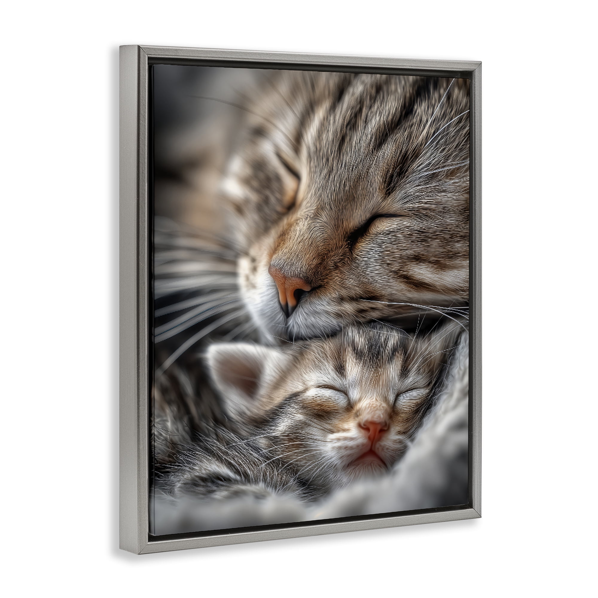 Stupell Industries Kitty Love Cuddles Gray Framed Floater Canvas Wall Art, design by Scott Stulberg