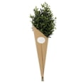 thumbnail image 4 of 48" Artificial Olive Branch Stems, 4 of 5