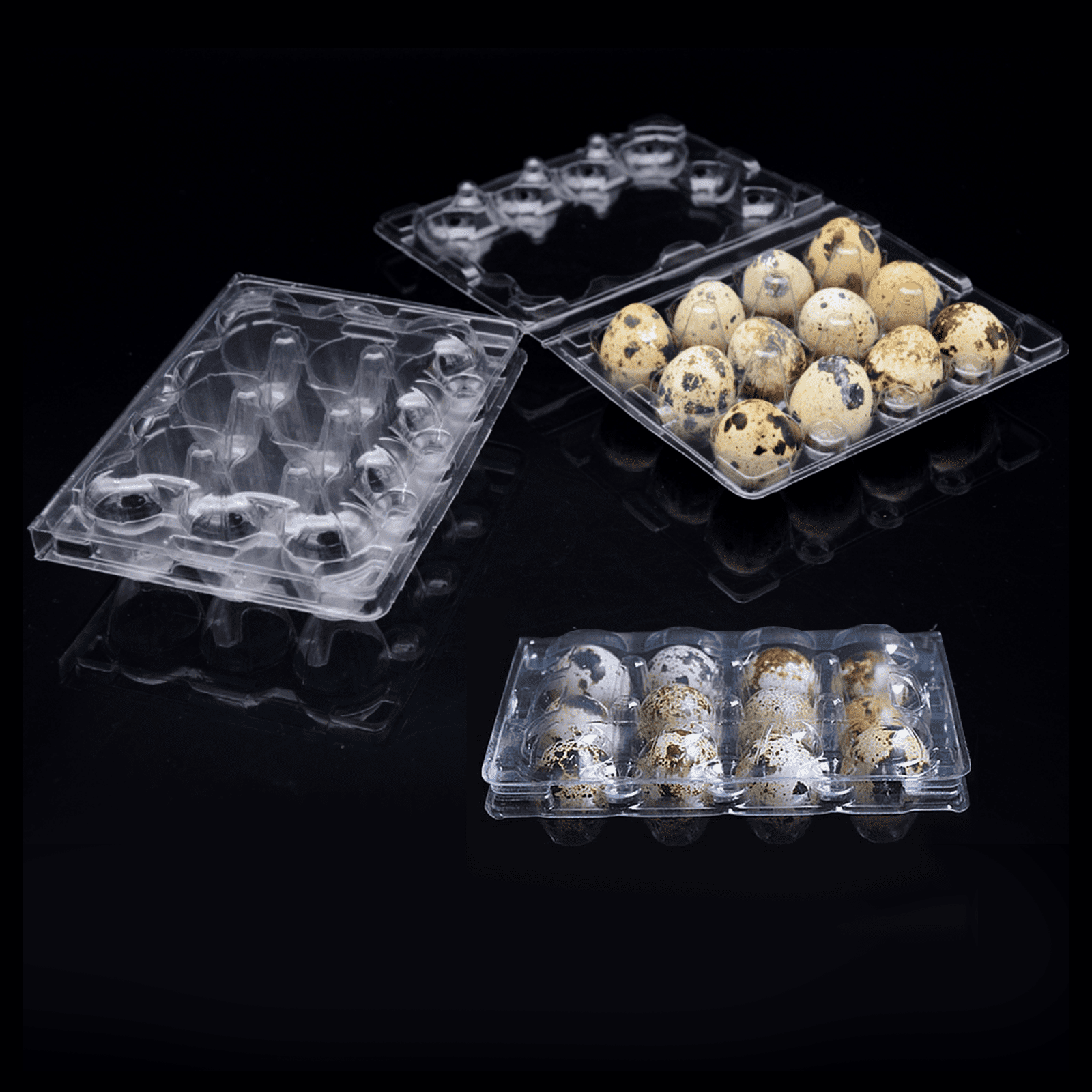 HEMOTON 50 Pieces 18 Grid Quail Egg Storage Box