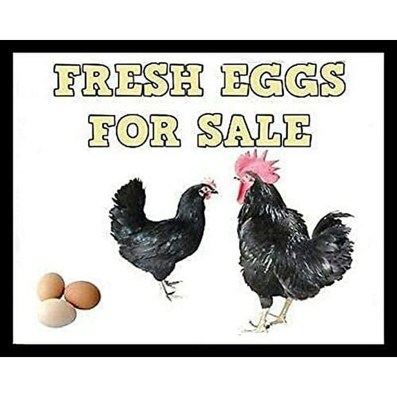 Vintage Chicken Farm Fresh Eggs Retro Metal Tin Sign Chicken Coop Farm Egg Sale Market Ranch Farm Bar Restaurant Home Wall Decoration Sign Farmer Best Gift 8x12 inch