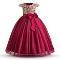 thumbnail image 2 of Vestido TTYAOVO para niña, boda, princesa, vestido de encaje con flores, talla 120, 2 of 7