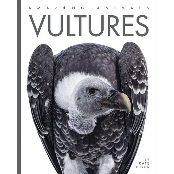 Amazing Animals: Vultures (Paperback)